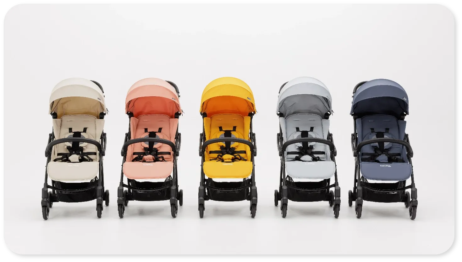 世界展開の歩み