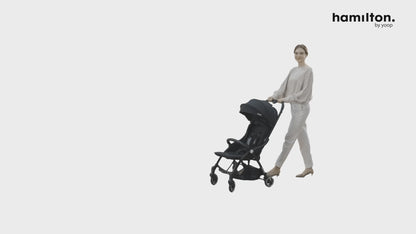 hamilton ホイールボード