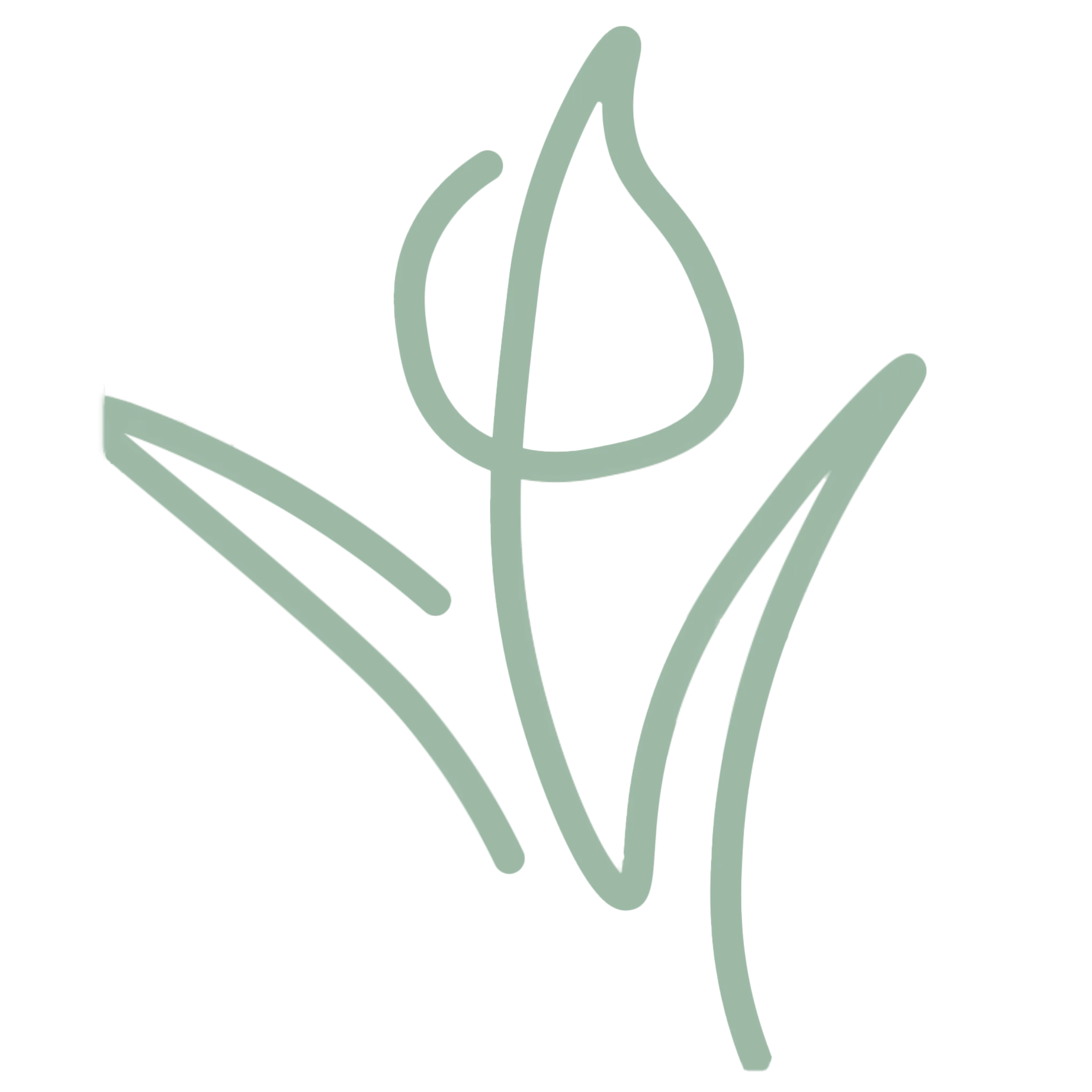 すべてが一つになったベビーカー